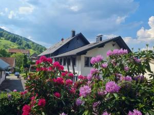 Maisons de vacances Locations des 3 sommets avec Sauna et Spa en Alsace : photos des chambres