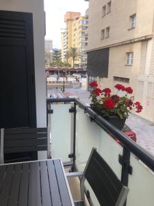 La Rosa Apartment Los Boliches Fuengirola Malaga Spain