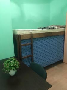 ArArAt-HOLOSIIVSKYI Hostel KYIV