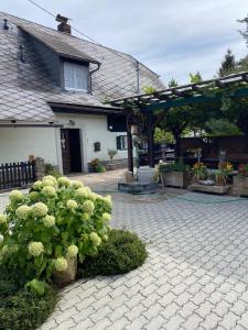 Bauernhaus Südsteiermark - Weststeiermark, Weinstraße, Radfahren, E-Bike, Feiern mit Familien & FreundInnen