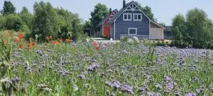 Ramlejowe Wzgórze - Sauna-Balia - Goręczyno