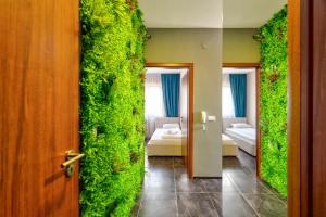 Zlatibor Hills Stars