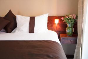 Mision Catedral Morelia