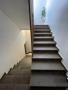 Apartmani Gacic- Sabac