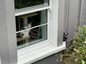 Courtyard Garden Flat