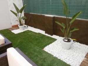 Total Valencia Terrace