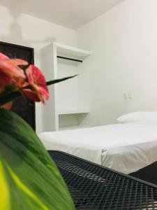Standard room with two single beds for relaxed stay