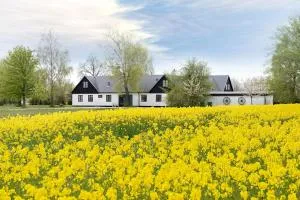 Mellby Atelier på Österlen - Brösarp