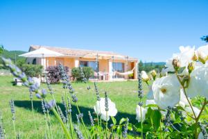 B&B / Chambres d'hotes La Bastide des Bourguets Adults Only, Mont Ventoux : photos des chambres