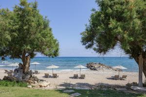 Eleven Boutique Suites