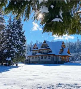 Rezydencja Kojsowka - Witów