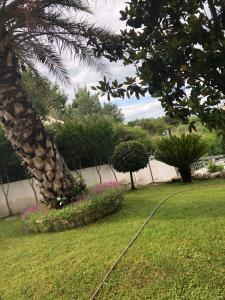 Ferienwohnung Dalmatien