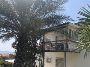 Ferienwohnung Dalmatien