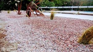 Appartements Joli Gite de 55M2 d'entressen dans Mas en campagne avec piscine jeux d'exterieurs pour enfants terrain de petanque : photos des chambres