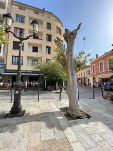 Appartements Calvi T2 climatise, wifi, centre-ville, a proximite plage, commerces, taxi & gare, vue plage & montagne : photos des chambres