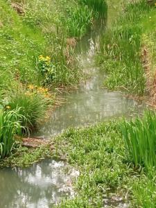 Kalmár Vendégház-Vadászház