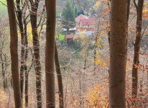 Ferien Langer Grund mitten im Wald