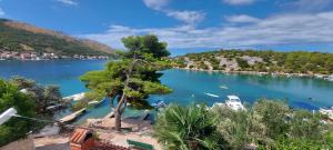 Apartment Grubišić