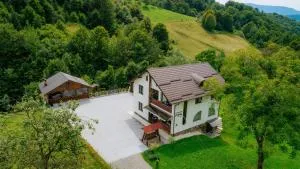 Pensiunea Diana - Fundu Izei