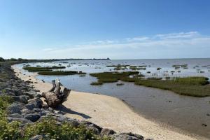 Maisons de vacances Maison au coeur de Meschers - proche des plages : photos des chambres