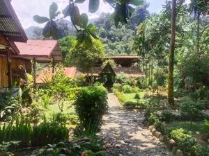 Mountain View Cottages & Villa Tangkahan - Langsa