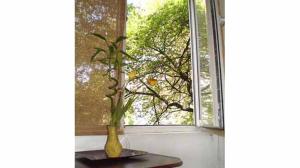 Cozy Studio Floreasca