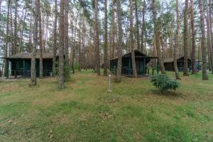 Urlaub im Bungalow mitten im Wald - Klein Jasedow