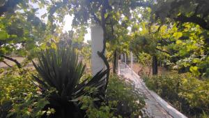 Morin Grey casa en el corazón de la Ribeira Sacra