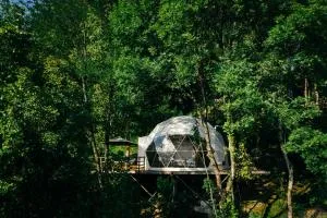 Wine Space - Laylashi