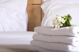 Hotels Hotel Estelou : Chambre Simple