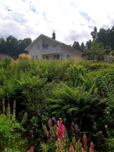 Lakeview lodge Tree of Life, Skagern Lake