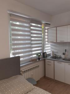 APARTAMENTY CENTRUM PIŁSUDSKIEGO