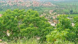 Gopi Plantation Homestay