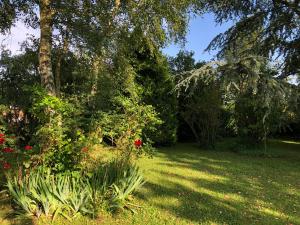 Maisons de vacances Gite des Longs Champs : photos des chambres