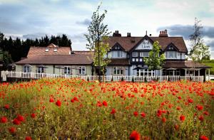 3 hvězdičkový hotel The Red Lion Inn by Greene King Inns Todwick Velká Británie