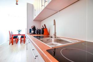 Löwe Apartment Grün Küssaberg am Rhein