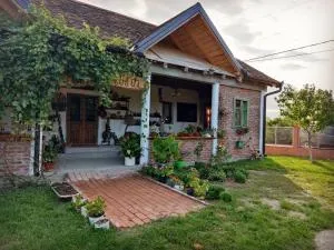 Amanet House Zasavica - Noćaj