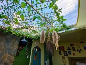 Cosmos Chill - Suite con jacuzzi y acuario