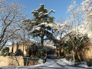 Appart'hotels Chateau de Colombieres sur Orb : photos des chambres