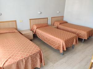 Triple Room with Private Bathroom