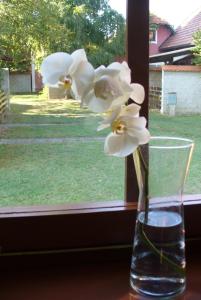 Čebelica, apartma 101, Terme Čatež