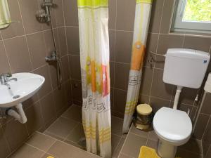 Vlajkovic apartmani 2