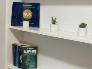 Vlajkovic apartmani 2