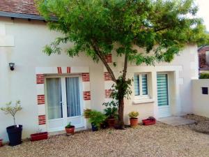 Maison d une chambre avec jardin clos et wifi a Selles sur Cher a 1 km de la plage