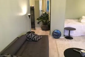 Kauniit yksiöt, 600m keskustaan, ilm parkit - Peherrys