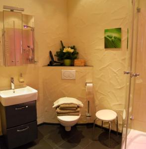 Ferienwohnungen an der Kaiserpfalz