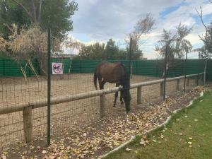 Luxury Orchid studio with garden in private complex Cascadas Bulgaria