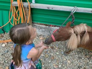 Luxury Orchid apartment with a garden in a private hotel complex Cascadas Bulgaria