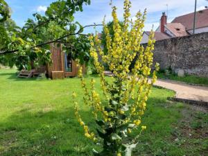 Maisons de vacances Pommes, Flore et Celeste : photos des chambres