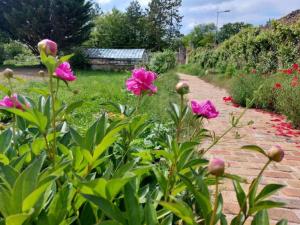 Maisons de vacances Pommes, Flore et Celeste : photos des chambres